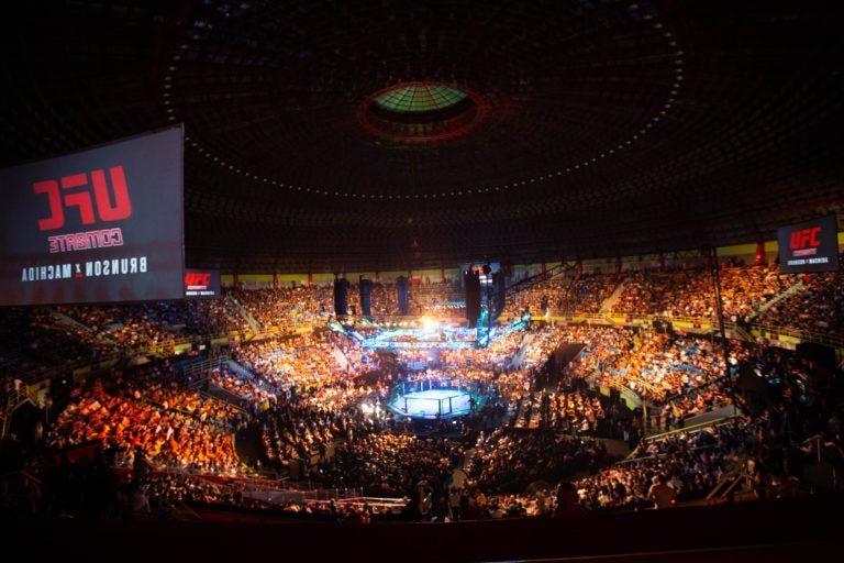 What are the Differences Between UFC and MMA?