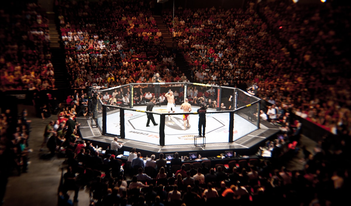 ufc fight, full of crowds