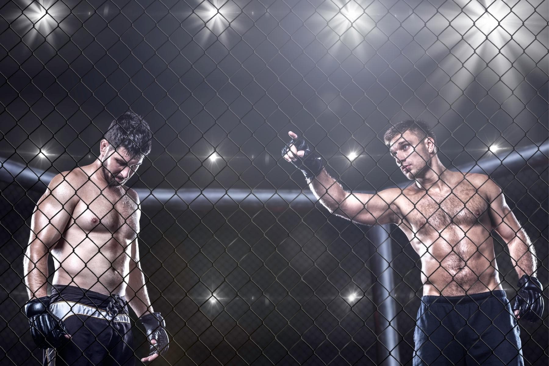 two mma fighter in cage