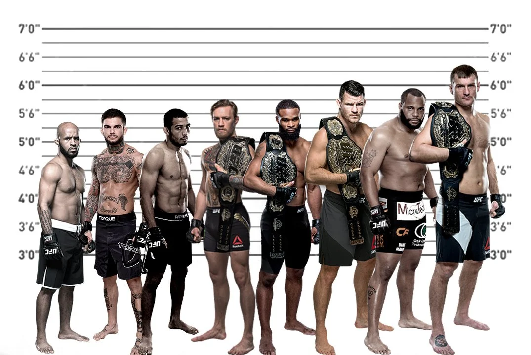 ufc fighters height to scale